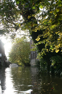 Brugge 164