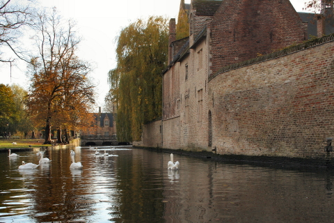 Brugge 166