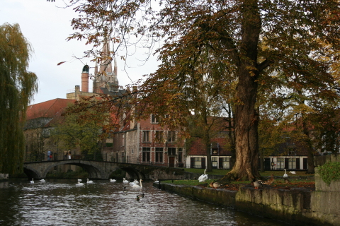Brugge 170
