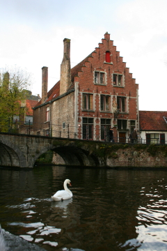 Brugge 173