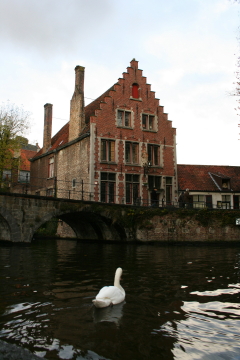 Brugge 174
