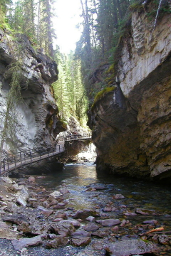 20060803 - 06 Johnston Canyon