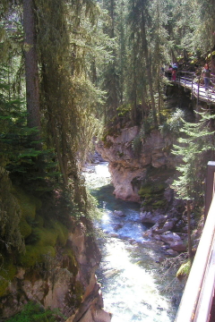 20060803 - 15 Johnston Canyon