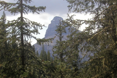 20060803 - 20 Johnston Canyon