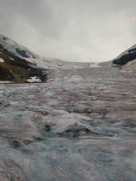 20060808 - 68a Columbia Icefields