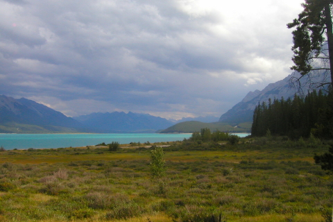 20060808 - 83 In de buurt van Columbia Icefields