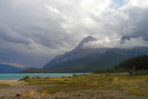 20060808 - 88 In de buurt van Columbia Icefields