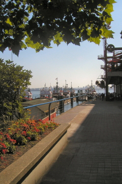 20060817 - 17 Grouse Mountain